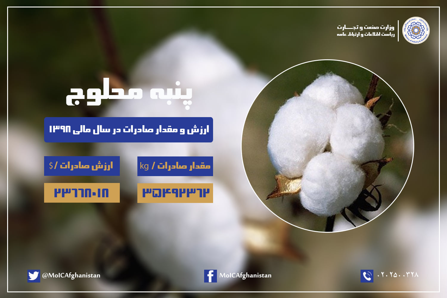 Value and Amount of Cotton exports in the fiscal year 1398