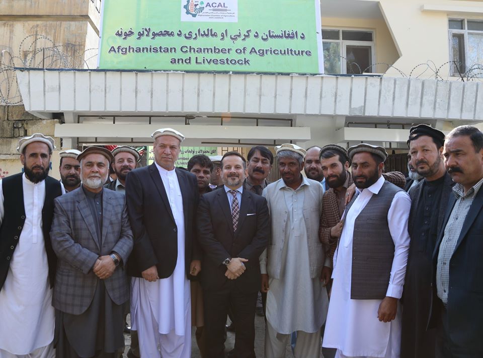 اتاق محصولات و تولیدات زراعتی و مالداری افغانستان افتتاح گردید.