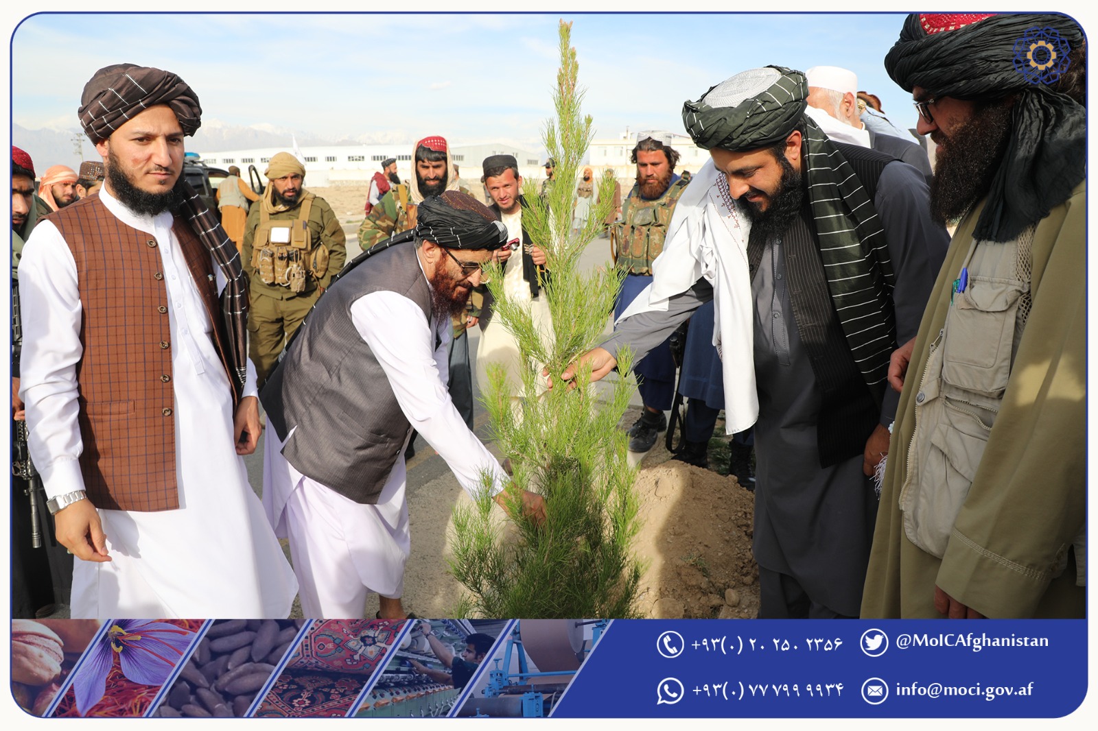 ده‌ها اصله نهال در پارک‌های صنعتی جمعه‌محمد محمدی و باریک‌آب غرس شد