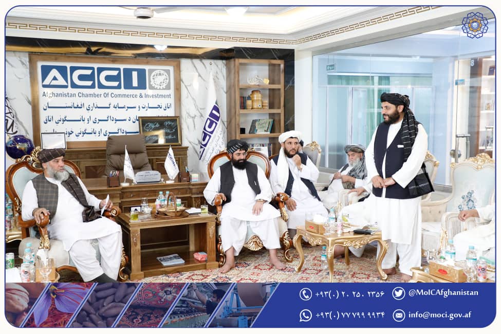 دیدار با اعضای اتاق تجارت و سرمایهگذاری قندهار