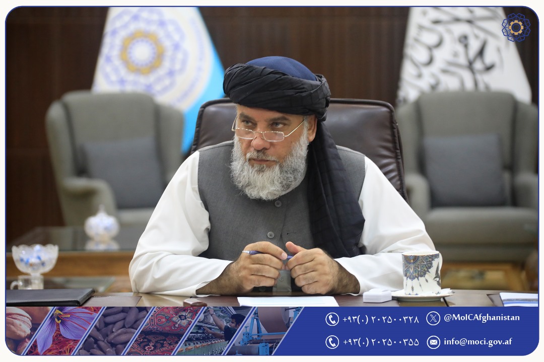 بررسی فعالیت های تجاری و صنعتی عودت کنندگان