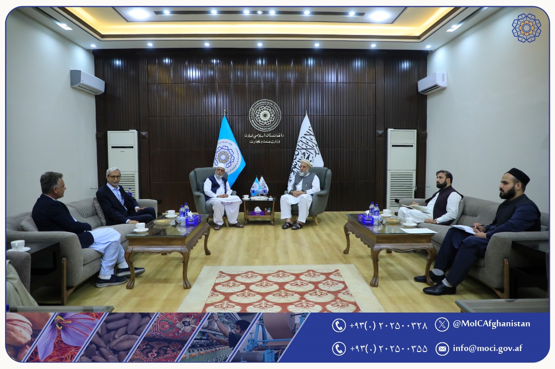 دیدار سرپرست وزارت صنعت و تجارت با مؤسس مؤسسه بینالمللی روپانی